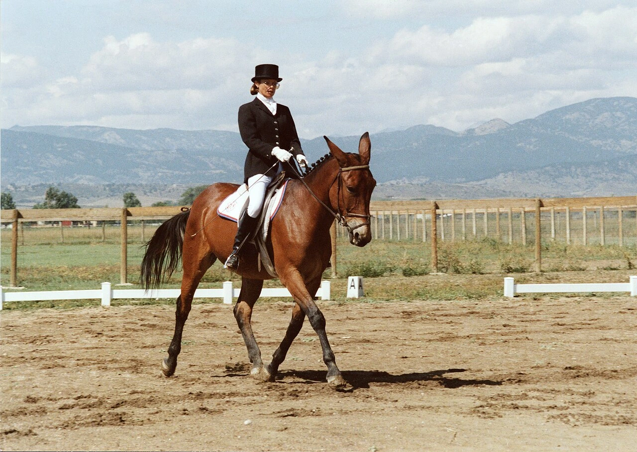 Meredith Hodges riding a horse in dressage attire outdoors in an equestrian arena with mountains in the background.